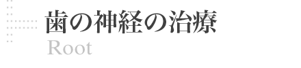 歯の神経の治療 | Root